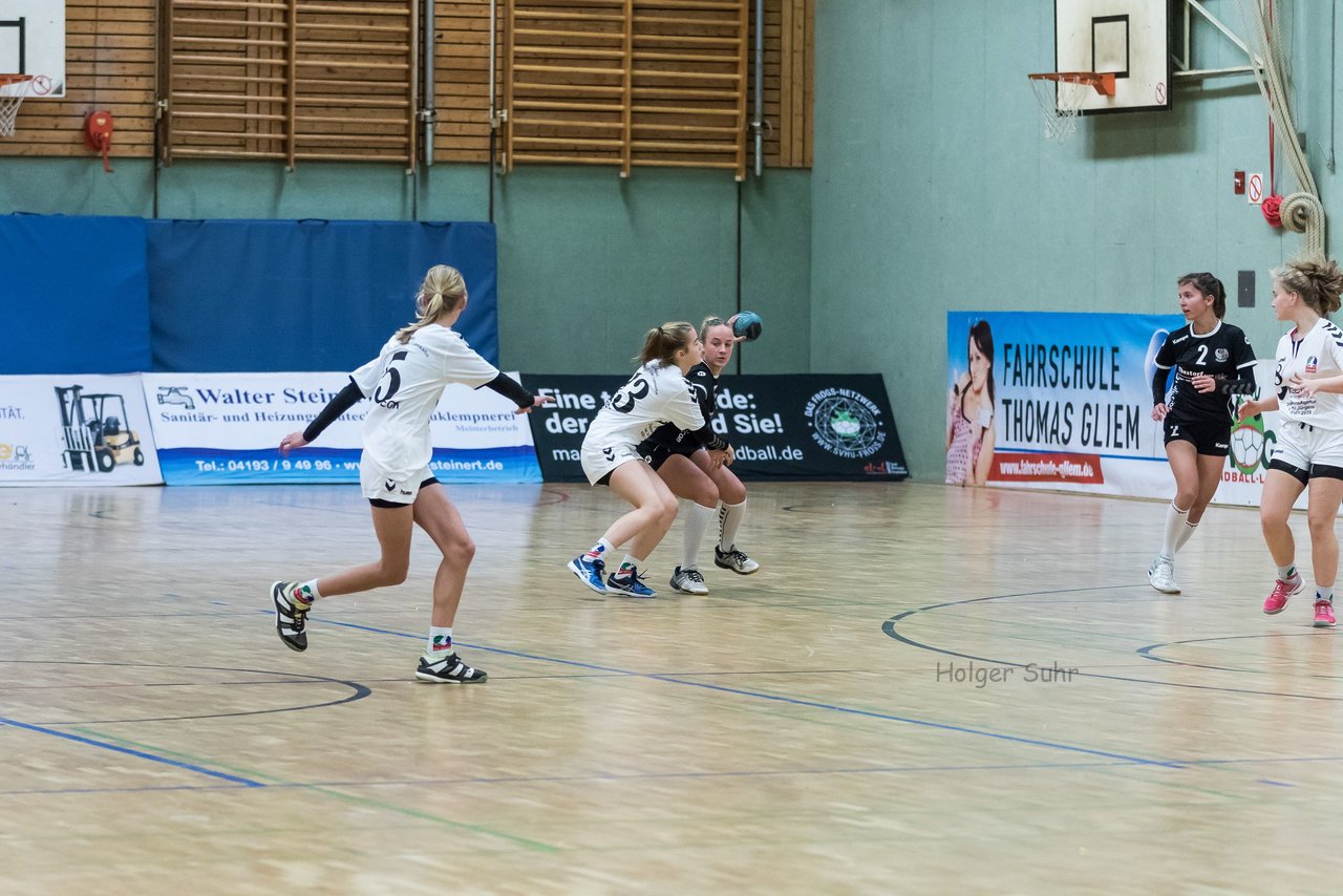 Bild 153 - C-Juniorinnen SVHU - HSD Wagrien : Ergebnis: 30:15